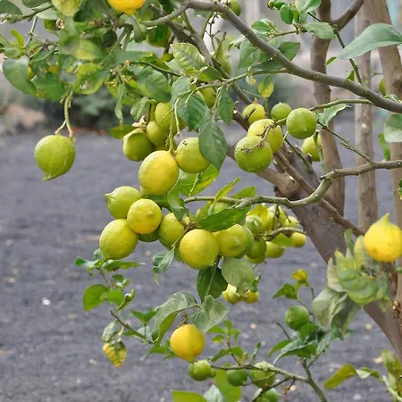 Casa di campagna La Casita De Mari Carmen